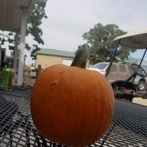 Meet your Posher, Carrie